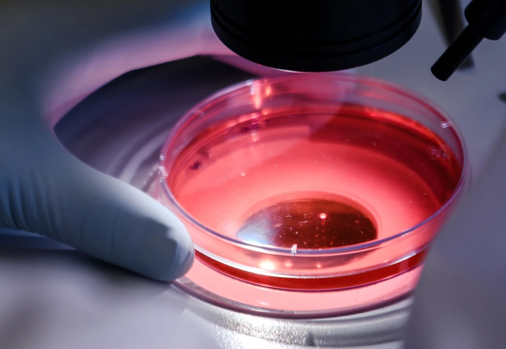 high power digital microscope