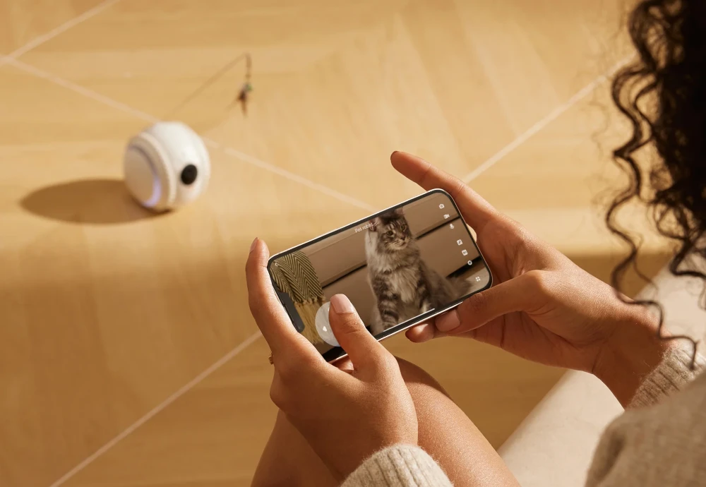 best indoor camera for watching pets