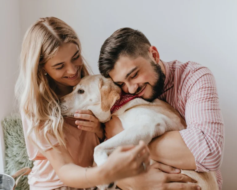 best automatic dog feeder