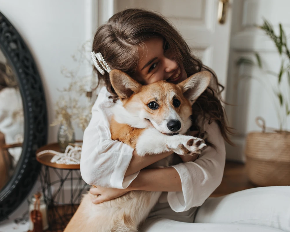 automatic pet feeder for multiple cats